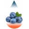 Blueberry Juicy Ripe-FA