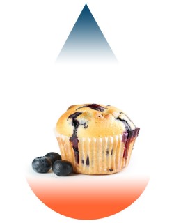 Blueberry Muffin-FA