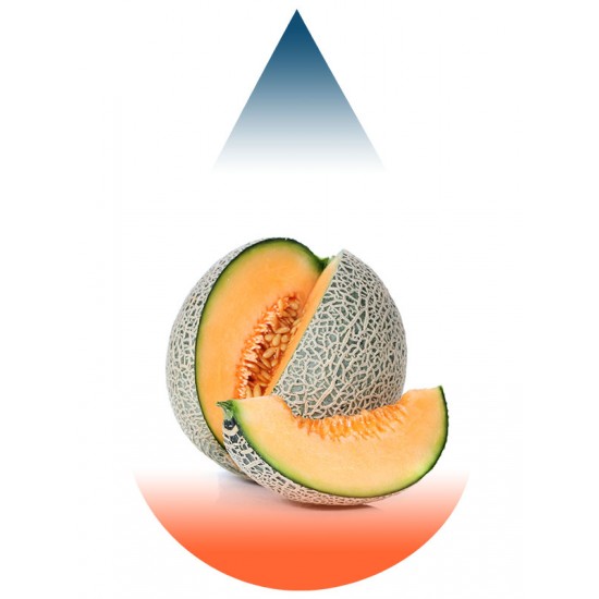 Melon Cantaloupe-FA