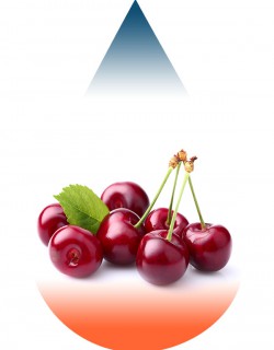Cherry (2022)-FA