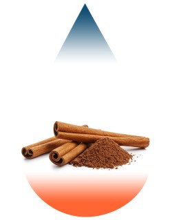 Cinnamon Ceylon-FA