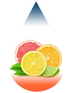 Citrus Mix-FA