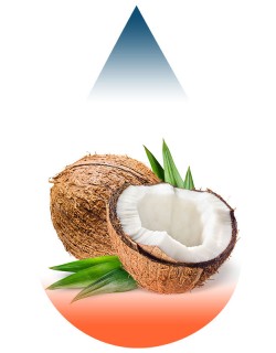 Coconut-FA