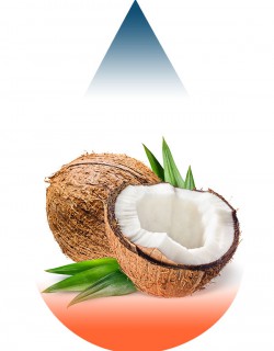 Coconut-FA