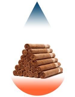 Cigar Passion-FA