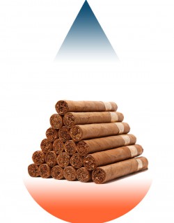 Cigar Passion-FA