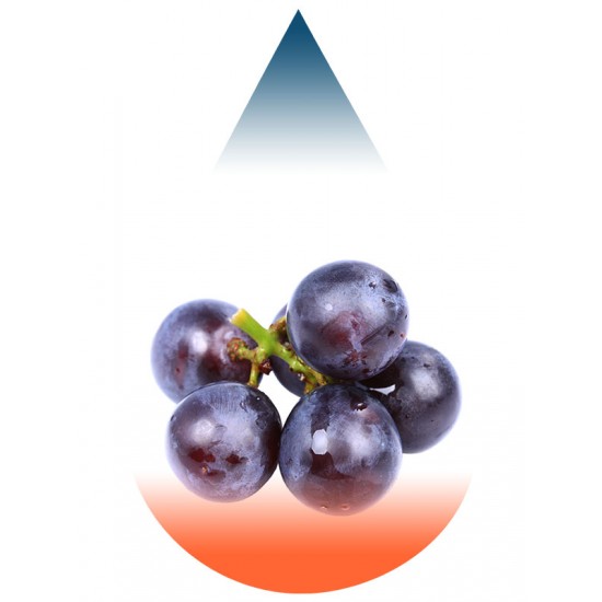 Grape Concord-FA