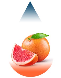 Grapefruit-FA