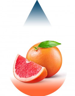 Grapefruit-FA