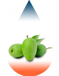 Mango Green-FA