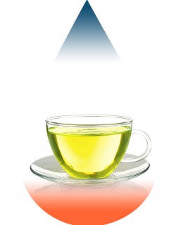 Green Tea-FA