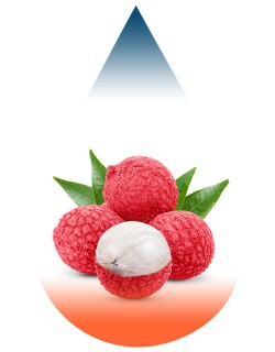 Lychee-FA