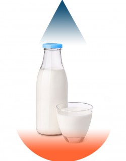 Milk-FA