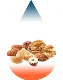 Nut Mix-FA