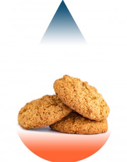 Oatmeal Cookie-FA