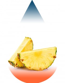 Pineapple-FA