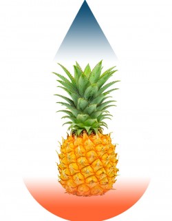 Pineapple Costa Rica-FA
