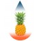 Pineapple Costa Rica-FA