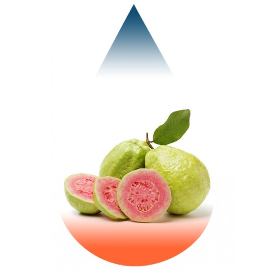 Pink Guava-FA