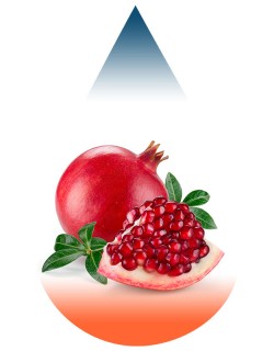 Pomegranate-FA