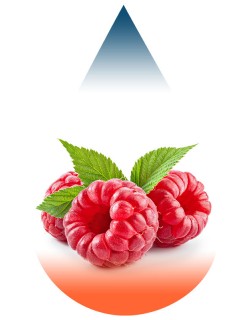 Raspberry-FA