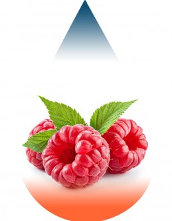 Raspberry-FA