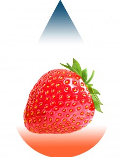Strawberry-FA