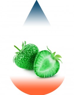 Strawberry Green-FA