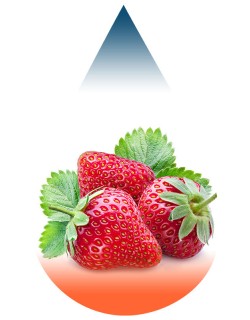 Strawberry Juicy-FA