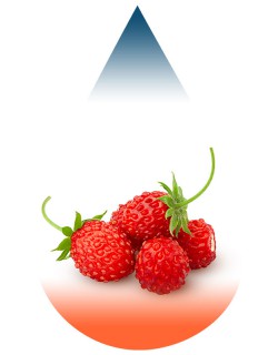 Strawberry Mountain Flavour-FA