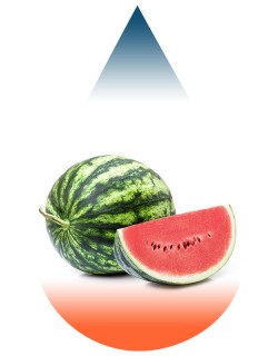 Watermelon-FA