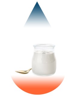Yogurt-FA