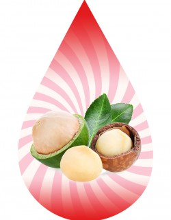 Macadamia Nut-FW