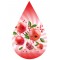 Pomegranate-FW