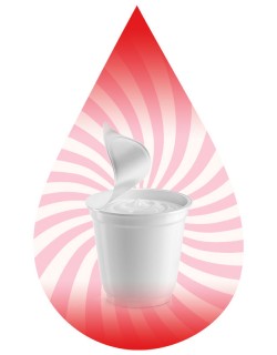 Yogurt-FW