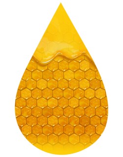 Bee My Honey-INW