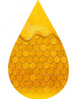 Bee My Honey-INW