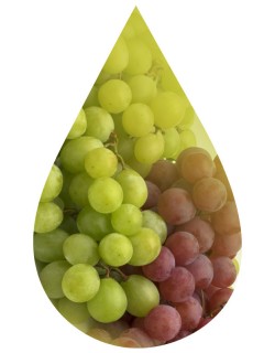 Grape-INW