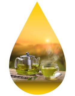 Green Spring Tea-INW