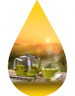 Green Spring Tea-INW