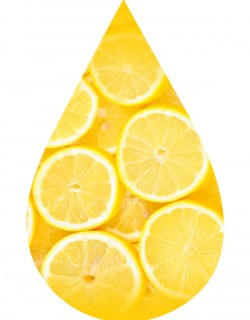Lemons Kick-INW