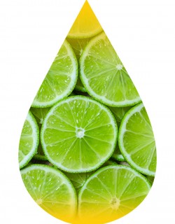 Lime- INW