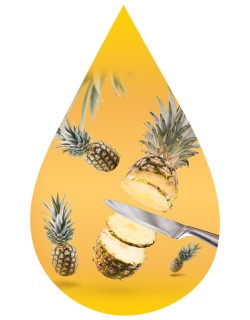 Pineapple-INW