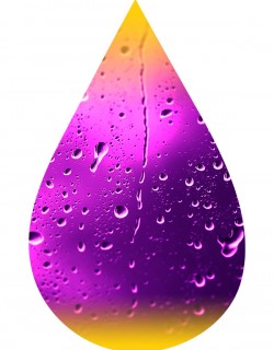 Purple Rain-INW