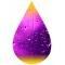 Purple Rain-INW