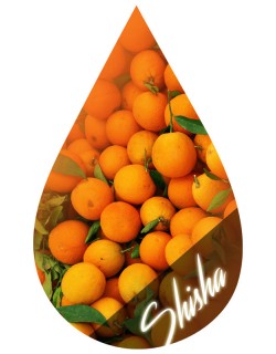 Shisha Orange-INW