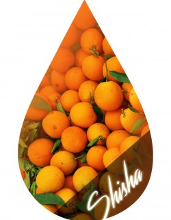 Shisha Orange-INW