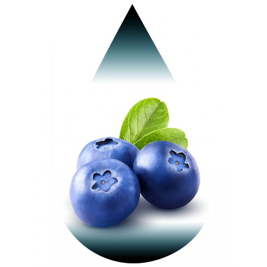 Blueberry-OSD