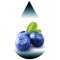 Blueberry-OSD