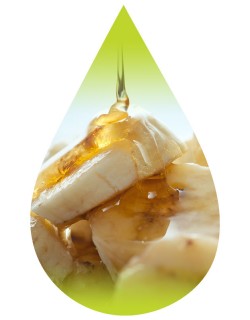 Bananascotch Cream-PUR